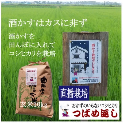【8年新米】酒かす&直播栽培　おかずのいらないコシヒカリ「つばめ返し」玄米10kg 新潟県燕市