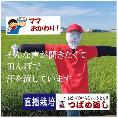 【8年新米】酒かす&直播栽培　おかずのいらないコシヒカリ「つばめ返し」玄米10kg 新潟県燕市