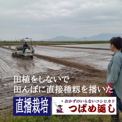 【8年新米】酒かす&直播栽培 おかずのいらないコシヒカリつばめ返し白米10kg(5kg×2)新潟燕市