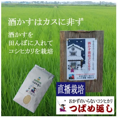 【8年新米】酒かす&直播栽培おかずのいらないコシヒカリ「つばめ返し」白米8kg　新潟県燕市
