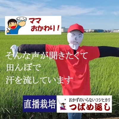 【8年新米】酒かす&直播栽培おかずのいらないコシヒカリ「つばめ返し」玄米20kg　新潟県燕市
