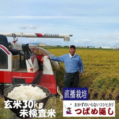 【8年新米】酒かす&直播栽培おかずのいらないコシヒカリ「つばめ返し」玄米30kg未検査米　新潟県燕市