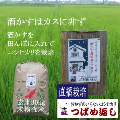 【8年新米】酒かす&直播栽培おかずのいらないコシヒカリ「つばめ返し」玄米30kg未検査米　新潟県燕市