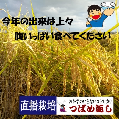【8年新米】酒かす&直播栽培おかずのいらないコシヒカリ「つばめ返し」玄米30kg未検査米　新潟県燕市