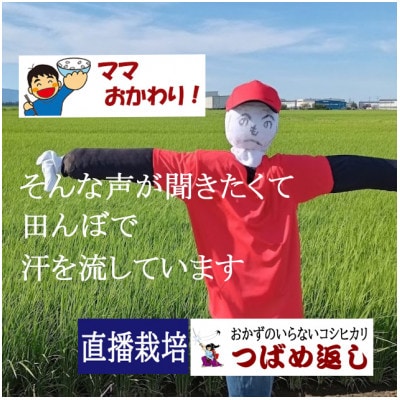 【8年新米】酒かす&直播栽培おかずのいらないコシヒカリつばめ返し玄米30kg