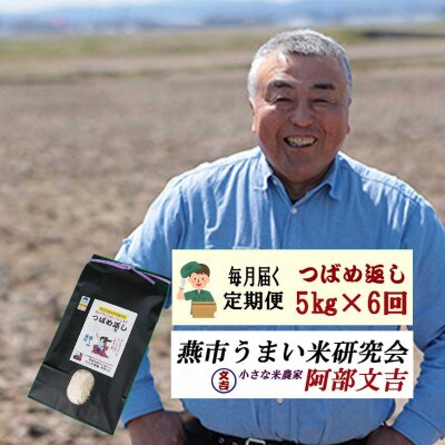 【毎月定期便】おかずのいらないコシヒカリ「つばめ返し」白米5kg全6回