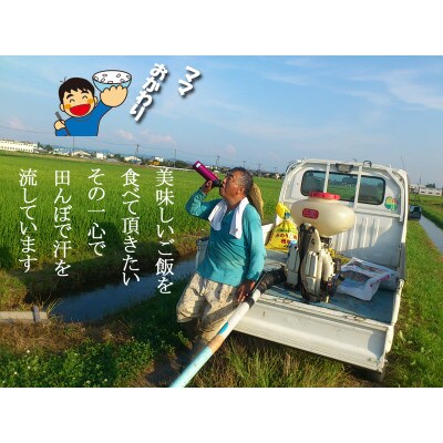 【毎月定期便】おかずのいらないコシヒカリ「つばめ返し」白米5kg全6回