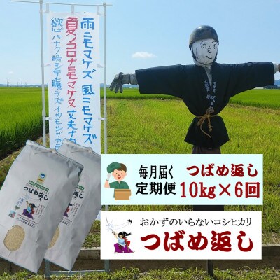 【毎月定期便】おかずのいらないコシヒカリ「つばめ返し」白米10kg(5kg×2)全6回