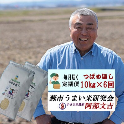 【毎月定期便】おかずのいらないコシヒカリ「つばめ返し」白米10kg(5kg×2)全6回