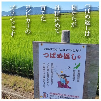 【毎月定期便】おかずのいらないコシヒカリ「つばめ返し」白米10kg(5kg×2)全3回