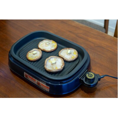 パワフルロースター