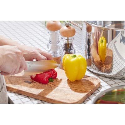 TKG-NEO オールステンレス 三徳包丁・ペティーナイフセット