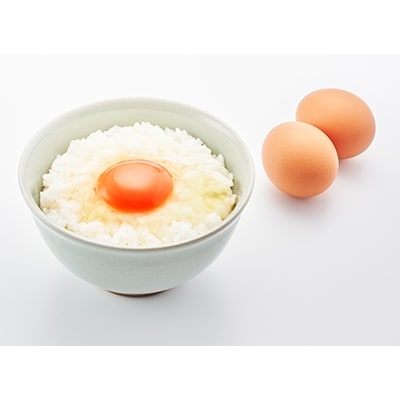 新潟県燕市産 新潟の美味しさを堪能!濃厚たまごの卵かけご飯セット