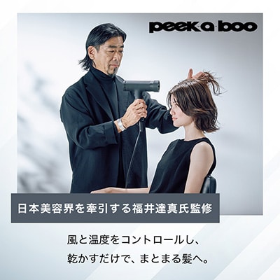 ツインバード　匠クラフトドライヤー TB-G009B30