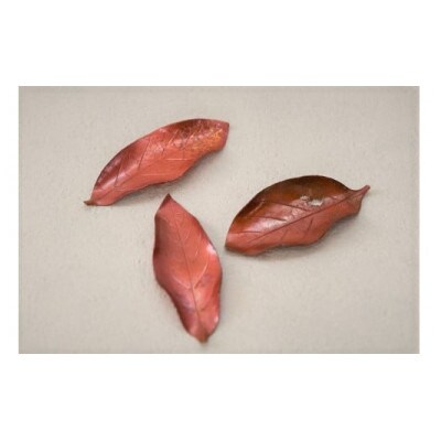 木の葉の箸置きLセット 3個入り(桐箱入り)