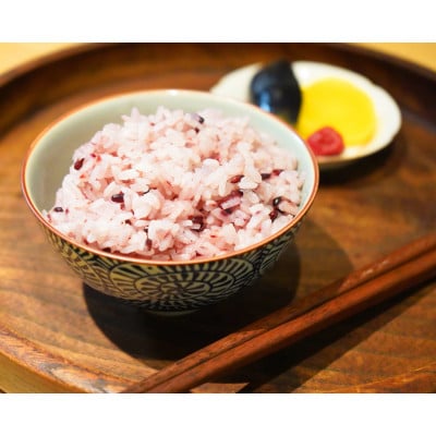 HIENの燕市産 紫黒米8個セット