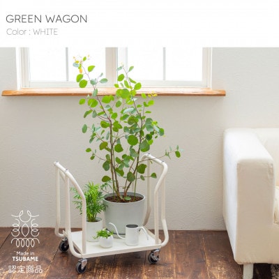 【TETSUNAGI】グリーンワゴン　ホワイト　収納　インテリア　スチール