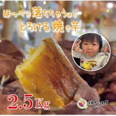 焼き芋屋ぴーすの熟成冷凍焼き芋2.5kg | ふるさと納税のお礼品