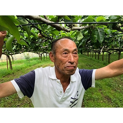 【先行受付】豊水　梨　約3kg(4玉～8玉)　千葉県八街市から直送!