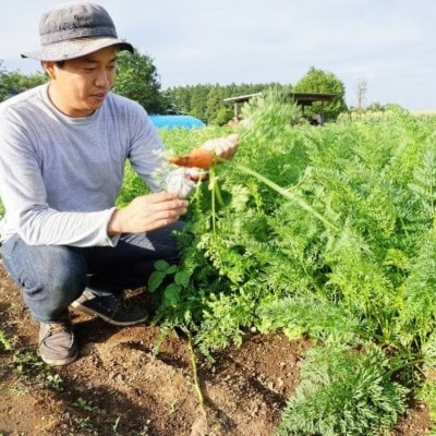 さらっと飲みやすい 100%人参ジュース 320ml×30パック