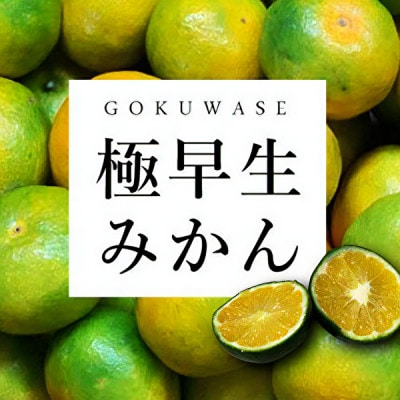 まもなく収穫! 極早生みかん 5kg【C31-15】