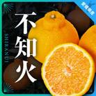 三代目がつくる不知火5kg【D31-3】