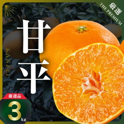 三代目がつくる甘平3kg【C31-1】