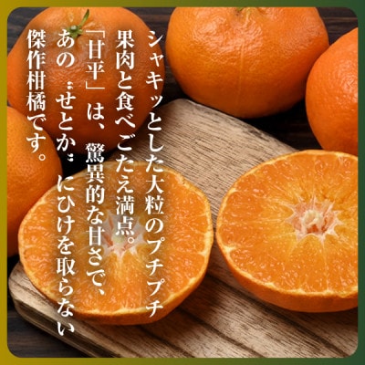 三代目がつくる甘平3kg【C31-1】