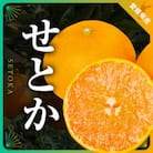 三代目の柑橘の大トロ【せとか】3kg【D31-6】