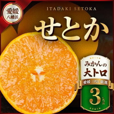 三代目の柑橘の大トロ【せとか】3kg【D31-6】