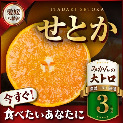 三代目の柑橘の大トロ【せとか】3kg【D31-6】