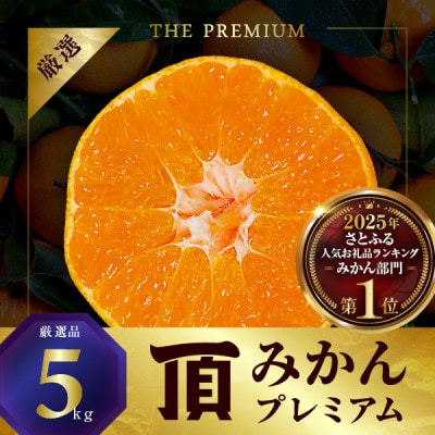 三代目の頂みかんTHEプレミアム【小玉サイズ】5kg【C31-19】