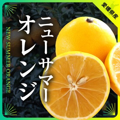 ニューサマーオレンジ　約7kg(ご家庭用)【C31-26】