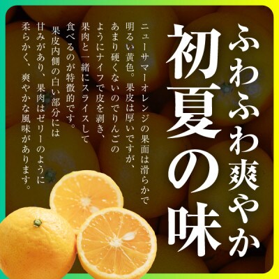 ニューサマーオレンジ　約7kg(ご家庭用)【C31-26】