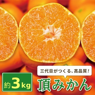三代目がつくる高品質【頂みかん】3kg