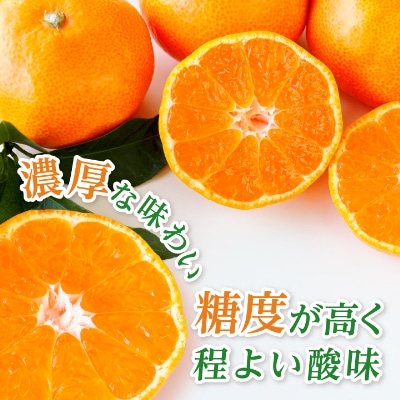 三代目がつくる高品質【頂みかん】3kg