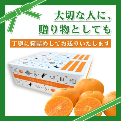 三代目がつくる高品質【頂みかん】3kg
