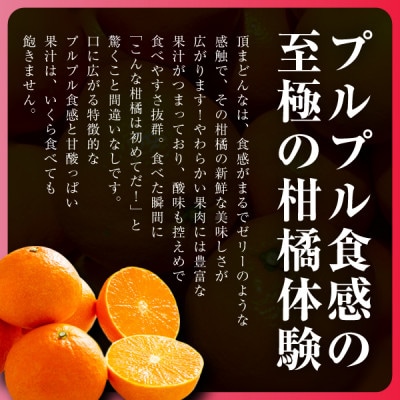 紅まどんなと同じ品種《頂まどんな》ご家庭用 3kg 【E31-22】