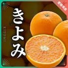 三代目がつくる高品質【きよみ】5kg【D31-9】
