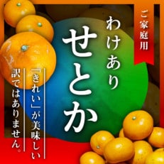 三代目のわけありせとか4kg【サイズ不揃い・傷】【C31-34】