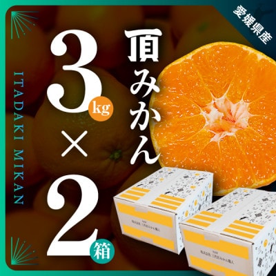 三代目がつくる【頂みかん】3kg×2箱【C31-21】
