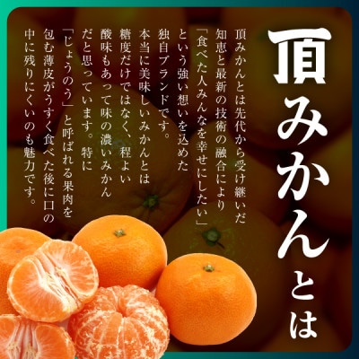 三代目がつくる【頂みかん】3kg×2箱【C31-21】