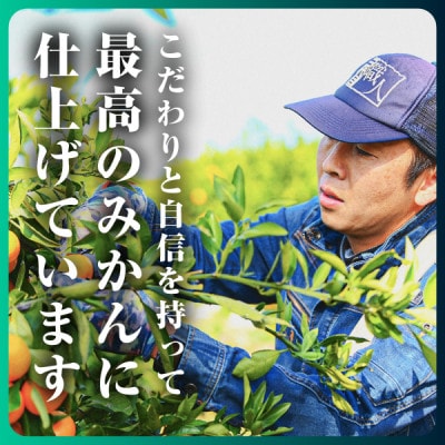 三代目がつくる【頂みかん】3kg×2箱【C31-21】