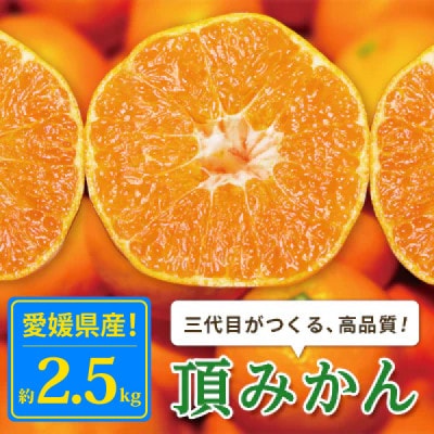 三代目がつくる高品質【頂みかん】2.5kg【A31-36】