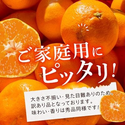 【訳あり(家庭用)】三代目がつくる愛媛みかん 8kg【C31-40】