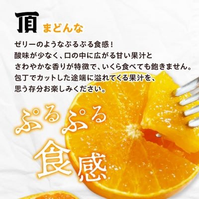 合計4kg!《頂まどんな》ご家庭用 3kg+《頂みかん》1kg!【C31-41】