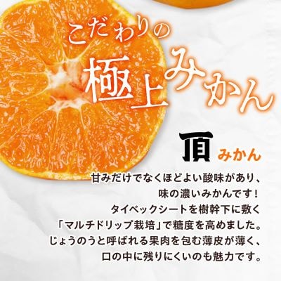 合計4kg!《頂まどんな》ご家庭用 3kg+《頂みかん》1kg!【C31-41】