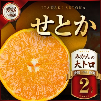 三代目の柑橘の大トロ【せとか】2kg【C31-49】