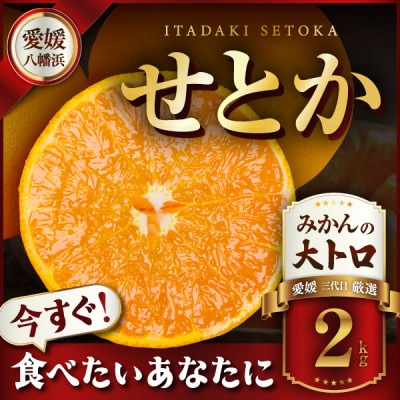 三代目の柑橘の大トロ【せとか】2kg【C31-49】
