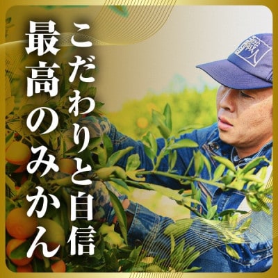 三代目の頂みかんTHEプレミアム【小玉サイズ】2kg【A31-51】